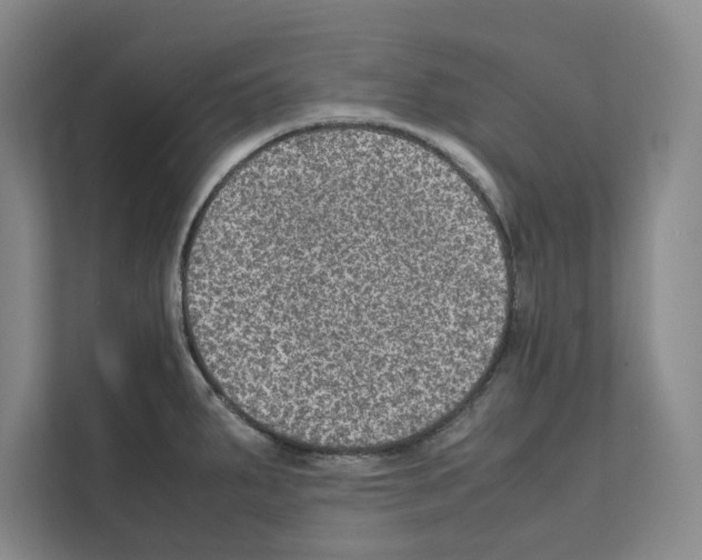 X0000111811287200909031423
