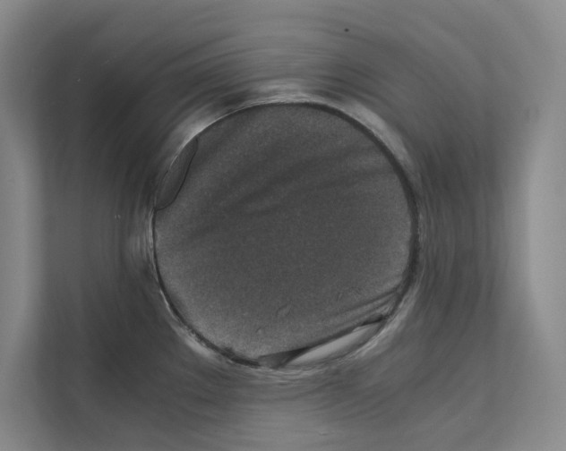X0000111811289200909031423