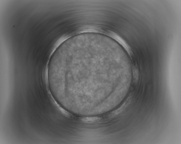 X0000111811290200909031423