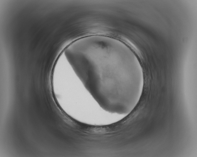X0000111811291200909031423