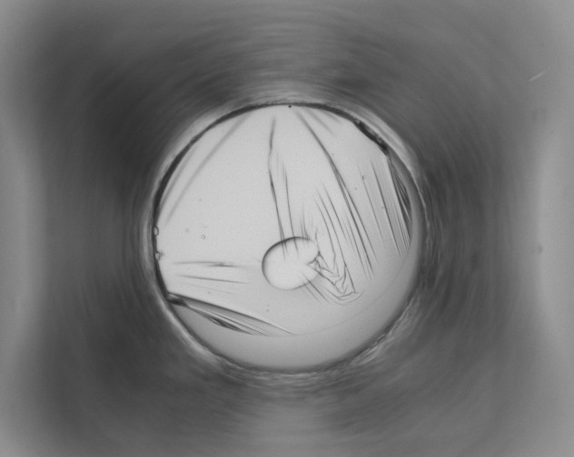 X0000111811293200909031423