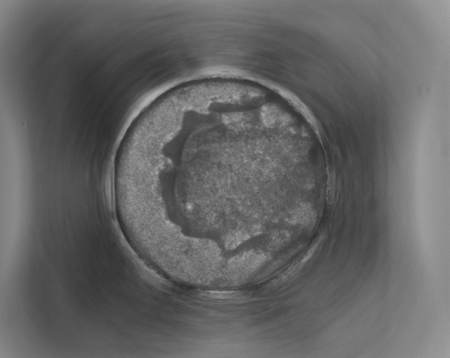 X0000111811295200909031423