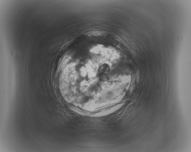 X0000111811297200909031422