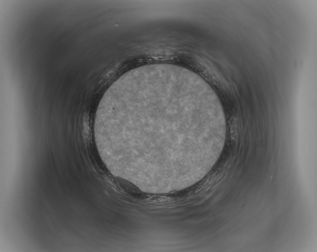 X0000111811298200909031422