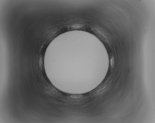 X0000111811299200909031422