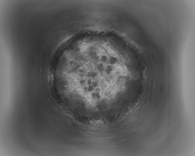X0000111811302200909031422