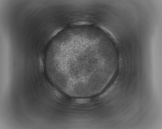 X0000111811305200909031422