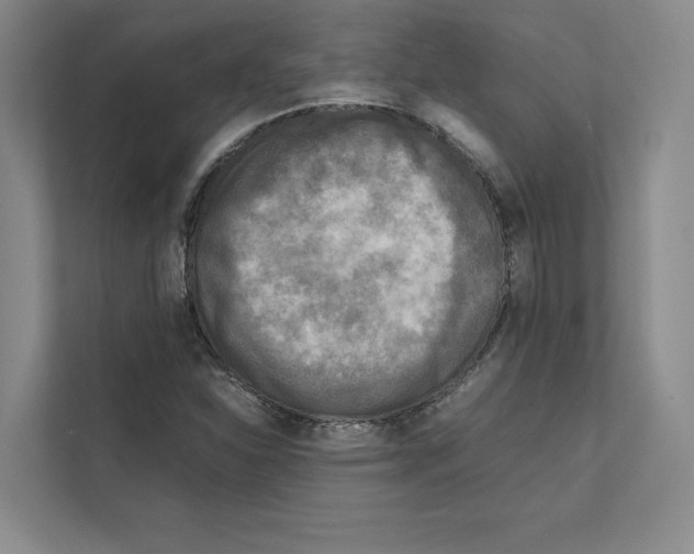 X0000111811310200909031422
