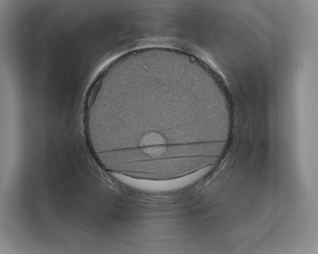 X0000111811312200909031422