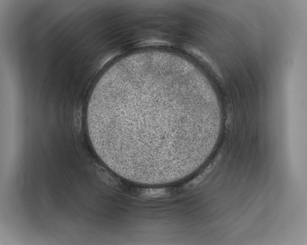 X0000111811313200909031422