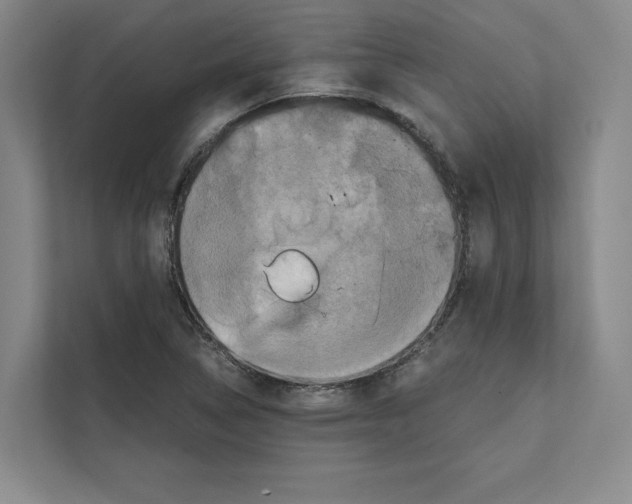 X0000111811314200909031422