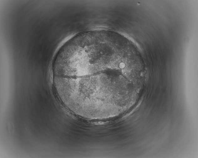 X0000111811317200909031422