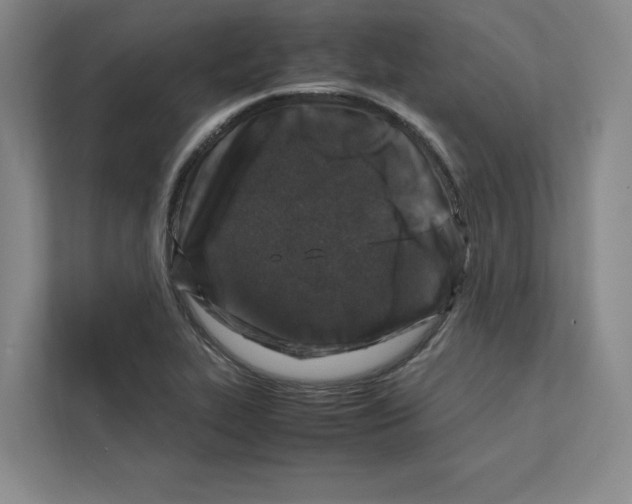 X0000111811319200909031422