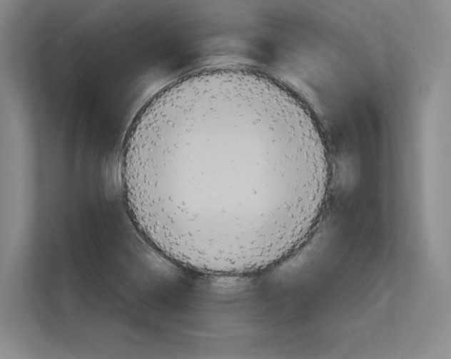 X0000111811322200909031422