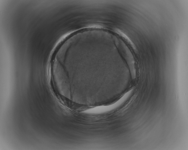X0000111811323200909031422