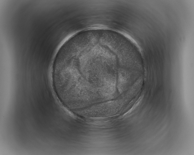 X0000111811325200909031422