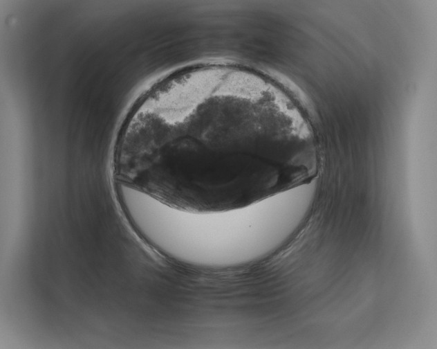 X0000111811327200909031422