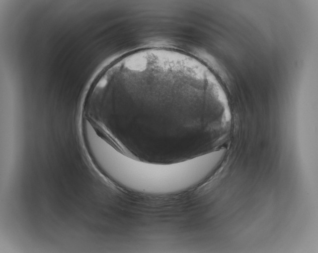 X0000111811331200909031422
