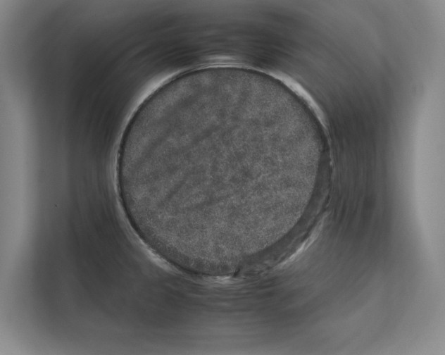 X0000111811333200909031422