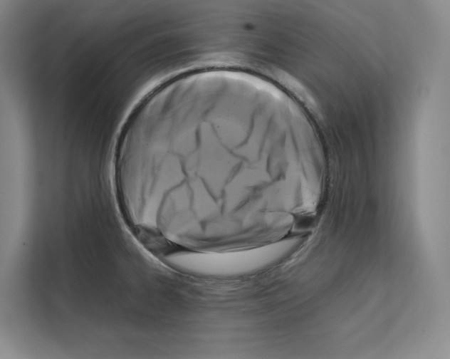 X0000111811334200909031422