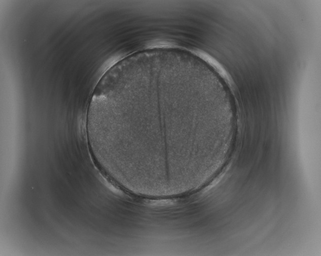 X0000111811337200909031422