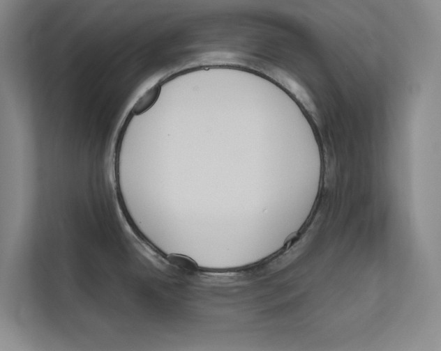 X0000111811342200909031423