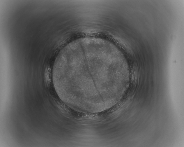 X0000111811346200909031422