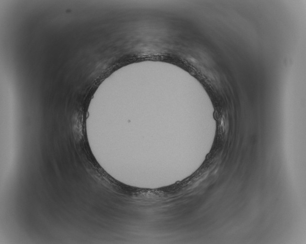 X0000111811348200909031422