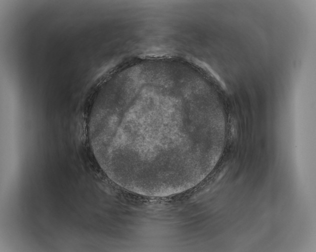 X0000111811350200909031422