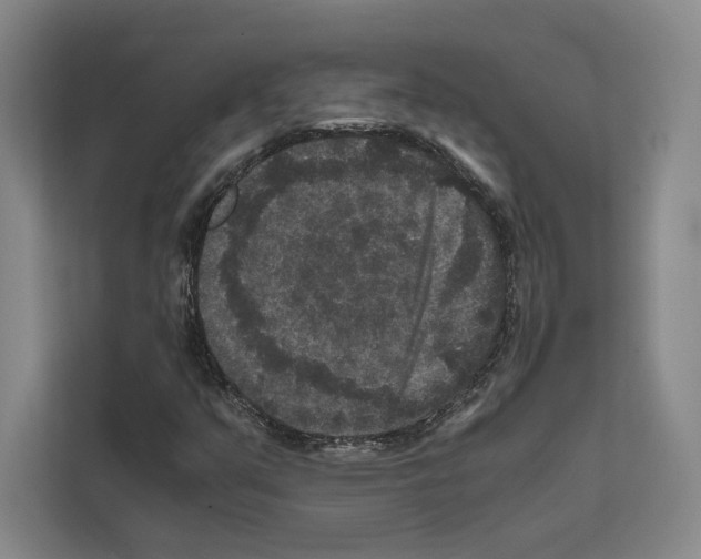 X0000111811351200909031422