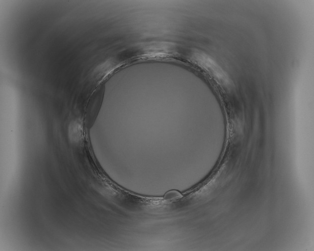 X0000111811353200909031422