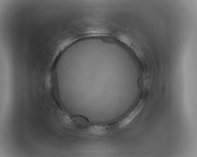 X0000111811357200909031422