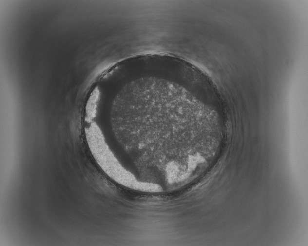 X0000111811359200909031422