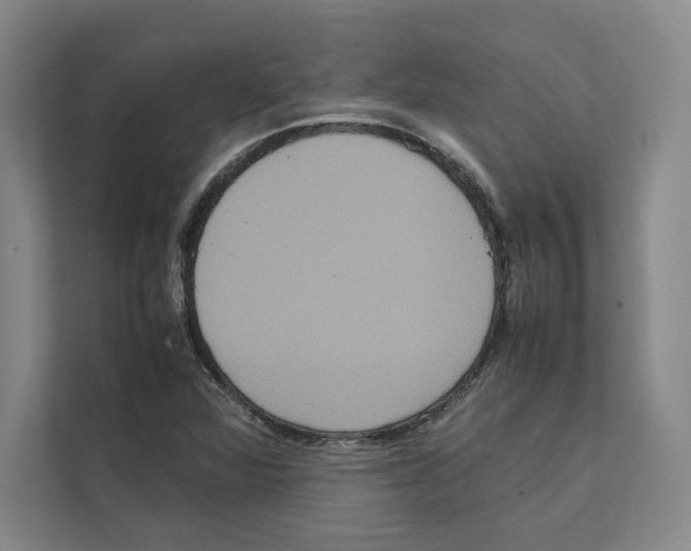 X0000111811360200909031422