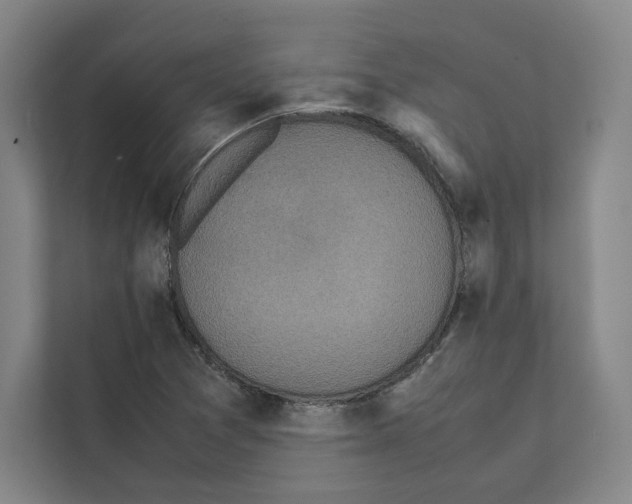 X0000111811361200909031422