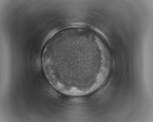 X0000111811362200909031422