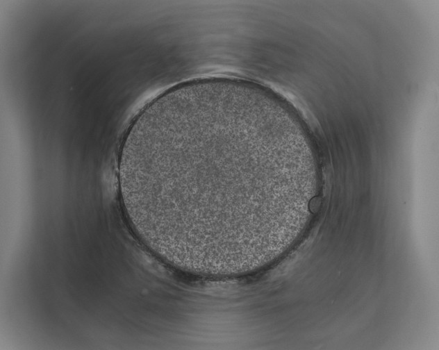 X0000111811363200909031422