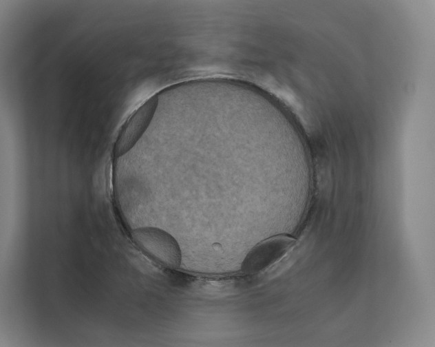X0000111811365200909031422