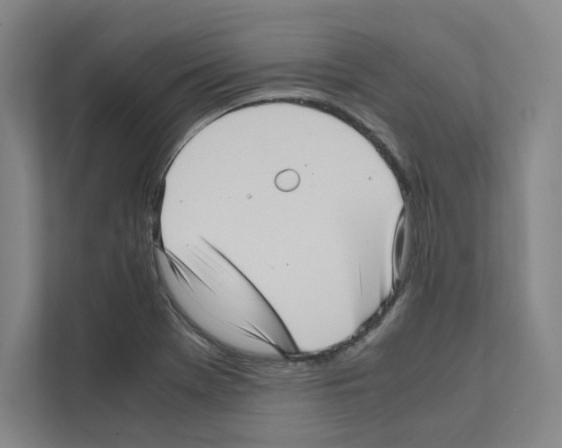 X0000111811369200909031422