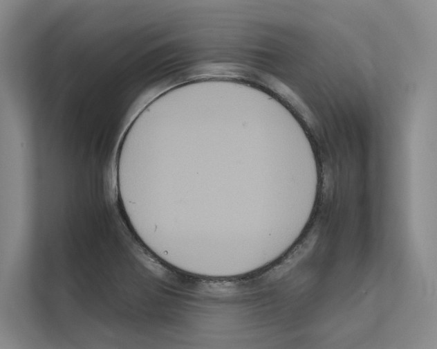 X0000111811370200909031422
