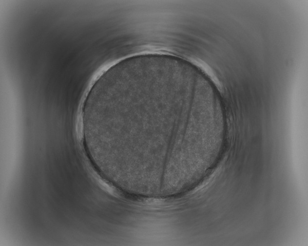 X0000111811371200909031422