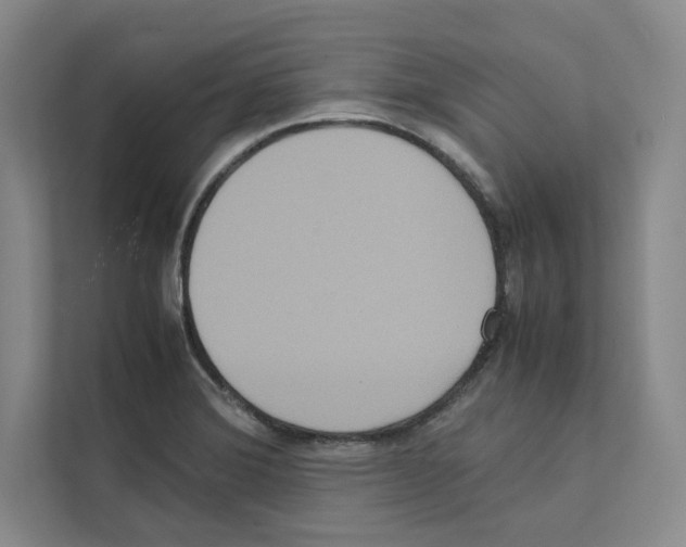 X0000111811372200909031422