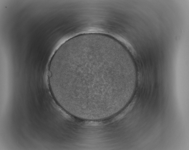 X0000111811374200909031422