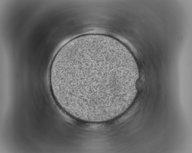 X0000111811375200909031422