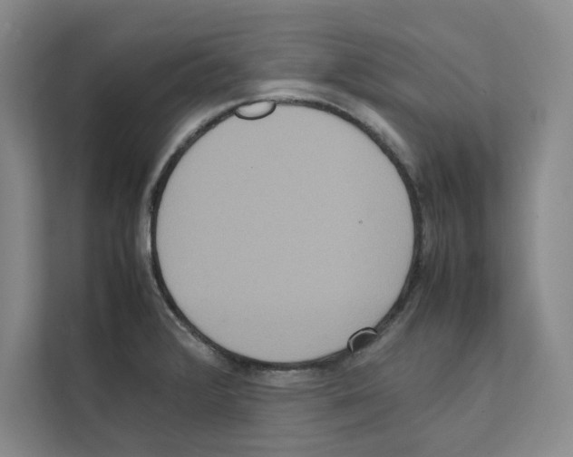 X0000111811376200909031422