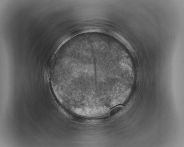 X0000111811377200909031422