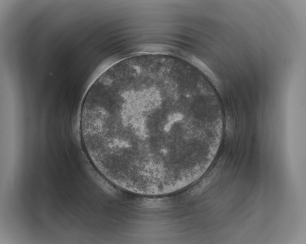 X0000111811378200909031421