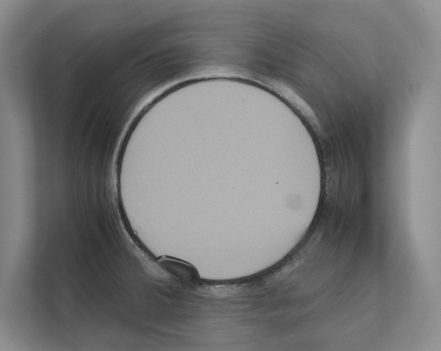 X0000111811380200909031421