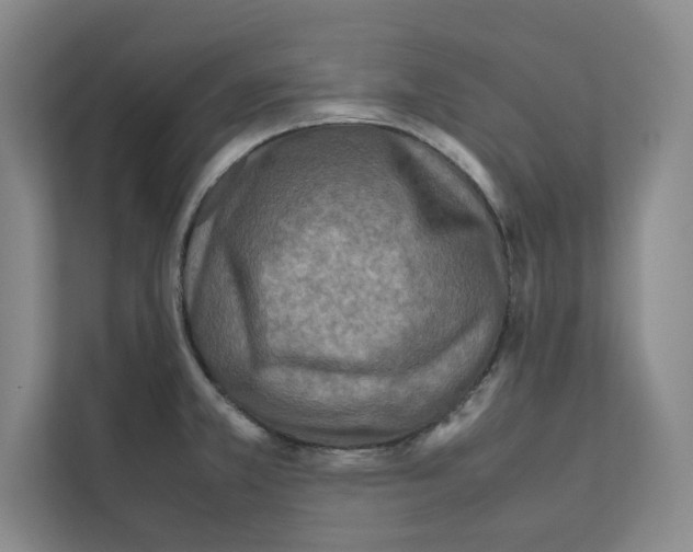 X0000111811381200909031421