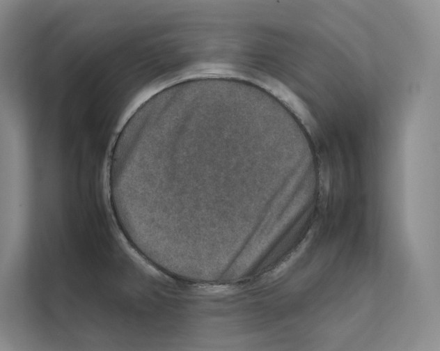 X0000111811382200909031421
